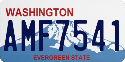 WA license plate AMF7541