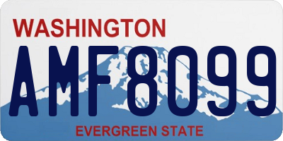 WA license plate AMF8099