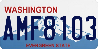 WA license plate AMF8103