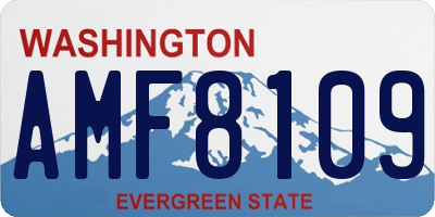 WA license plate AMF8109