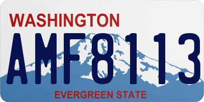WA license plate AMF8113