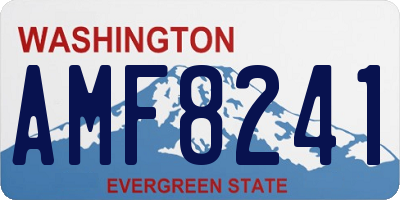 WA license plate AMF8241