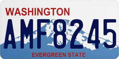 WA license plate AMF8245