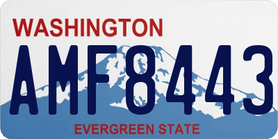 WA license plate AMF8443