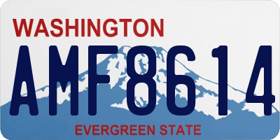 WA license plate AMF8614