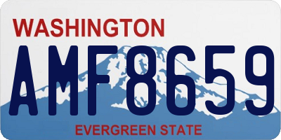 WA license plate AMF8659