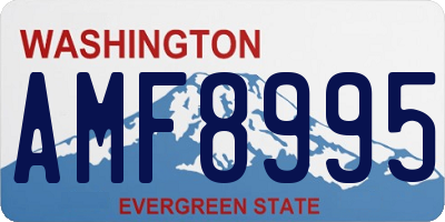 WA license plate AMF8995