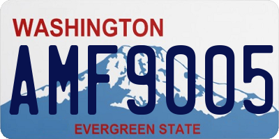 WA license plate AMF9005