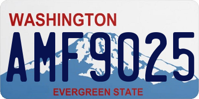 WA license plate AMF9025