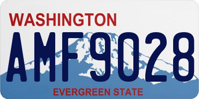 WA license plate AMF9028