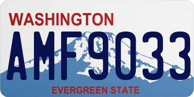 WA license plate AMF9033