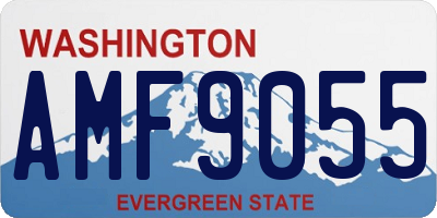 WA license plate AMF9055