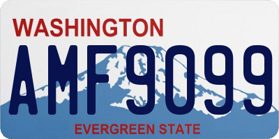 WA license plate AMF9099