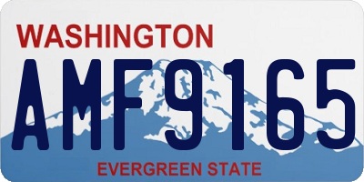 WA license plate AMF9165
