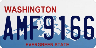 WA license plate AMF9166