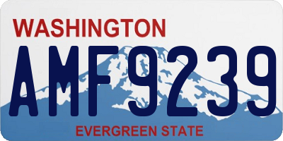 WA license plate AMF9239
