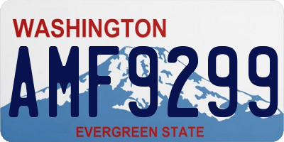 WA license plate AMF9299