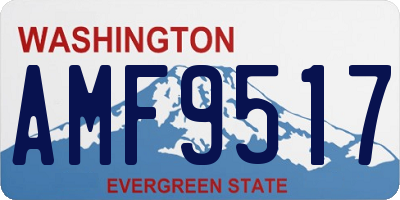 WA license plate AMF9517