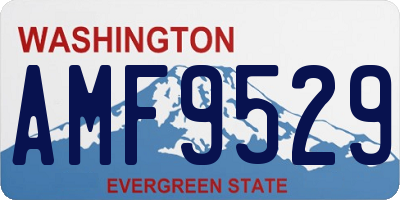 WA license plate AMF9529
