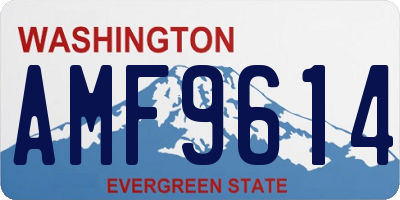 WA license plate AMF9614
