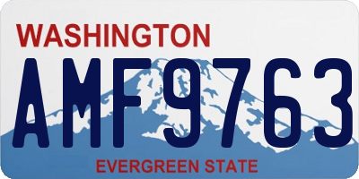 WA license plate AMF9763