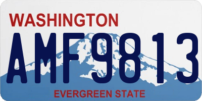 WA license plate AMF9813