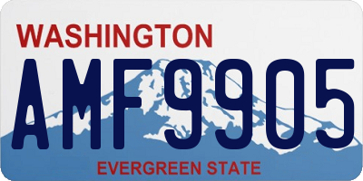 WA license plate AMF9905