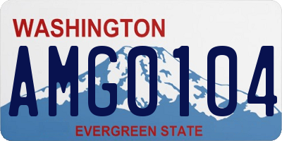 WA license plate AMG0104