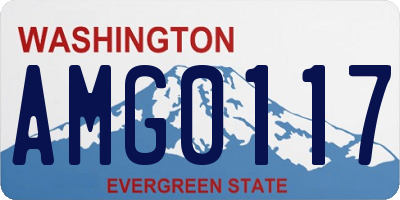 WA license plate AMG0117