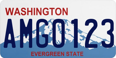 WA license plate AMG0123