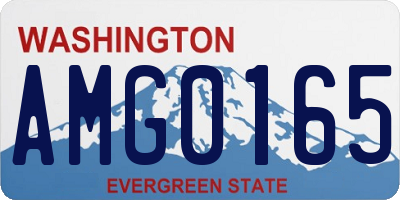 WA license plate AMG0165