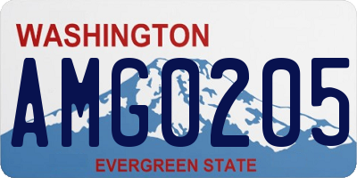 WA license plate AMG0205