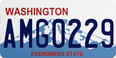 WA license plate AMG0229