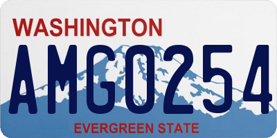 WA license plate AMG0254