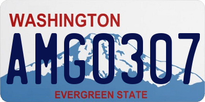 WA license plate AMG0307