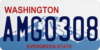 WA license plate AMG0308