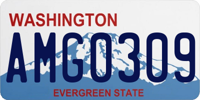 WA license plate AMG0309