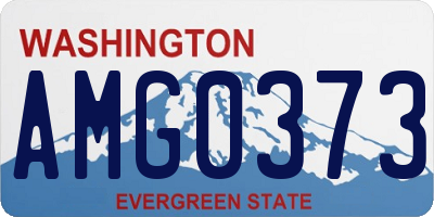 WA license plate AMG0373