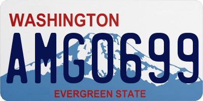 WA license plate AMG0699