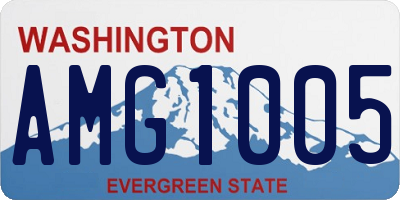 WA license plate AMG1005