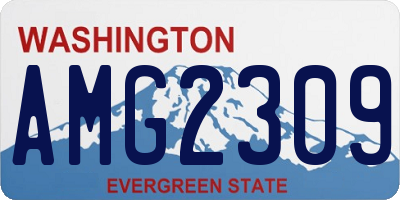 WA license plate AMG2309