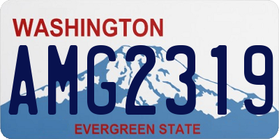 WA license plate AMG2319