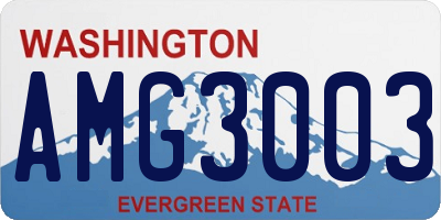 WA license plate AMG3003