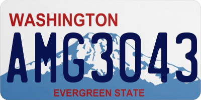 WA license plate AMG3043