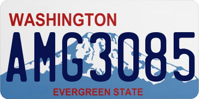 WA license plate AMG3085