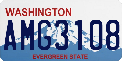 WA license plate AMG3108