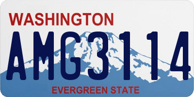 WA license plate AMG3114