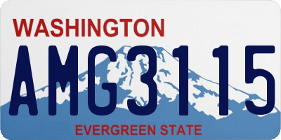 WA license plate AMG3115