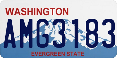 WA license plate AMG3183