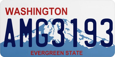 WA license plate AMG3193